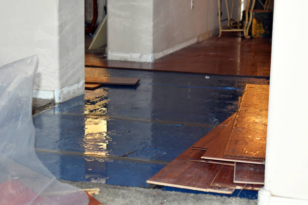 Professional Water Damage Restoration technician working in Austin, MN